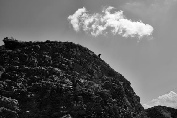 Top of the world, 2018