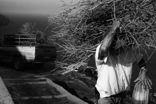 The hard worker, 2018