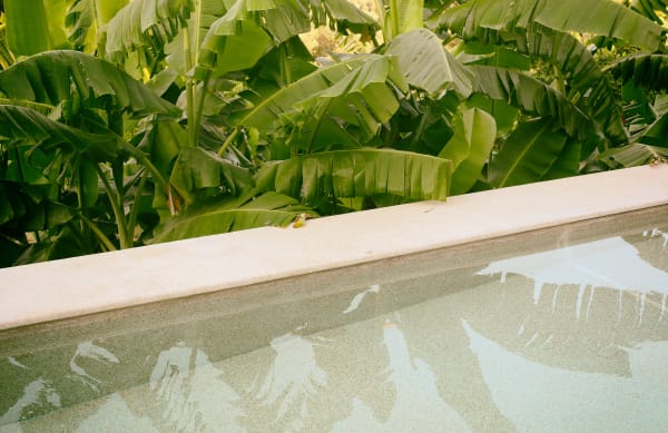 Tropical, 2019