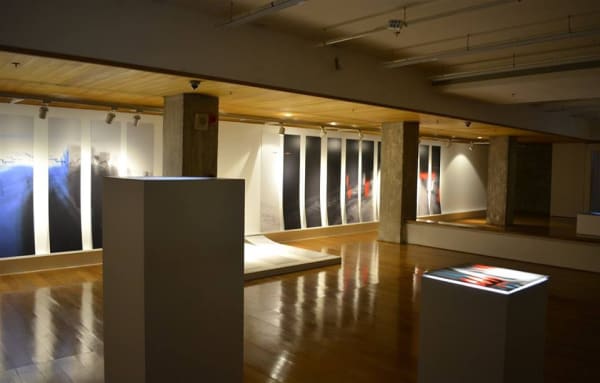 14292321 10157279024030315 7640020829580340614 N