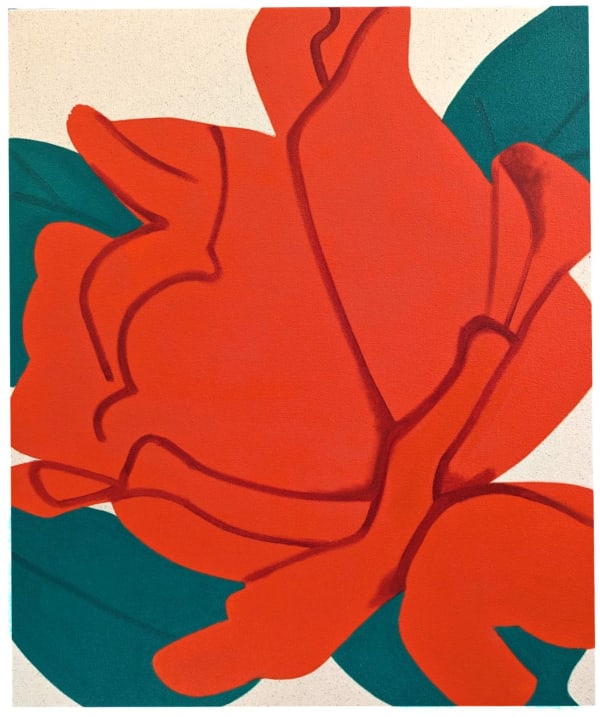 Mel Davis Rose 7 7 2024 Oil On Canvas 61 X 50 8Cm