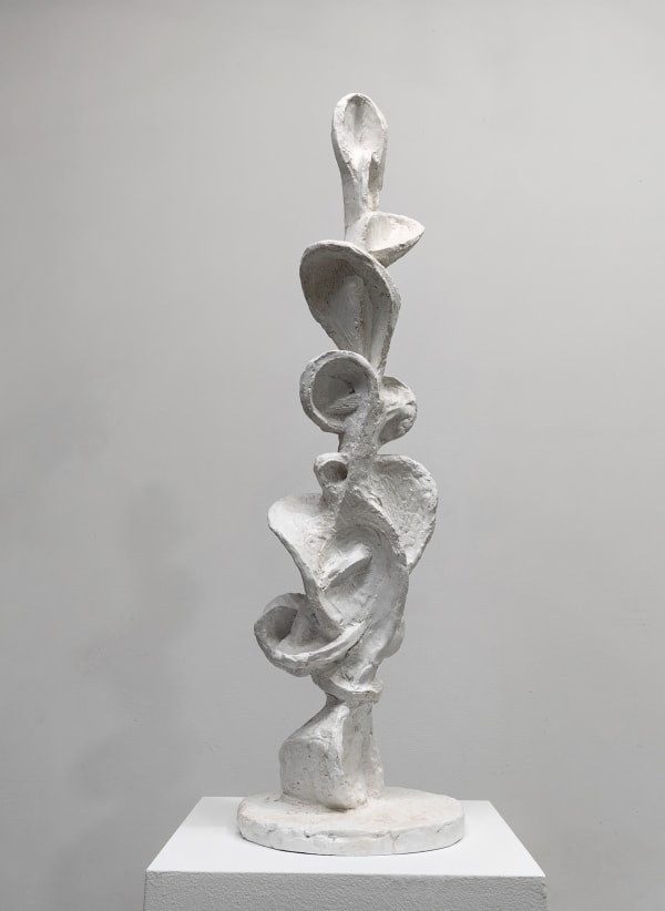 Zhang Ning 张宁 The Growth of Narcissus 2 那喀索斯的生长之 二, 2024