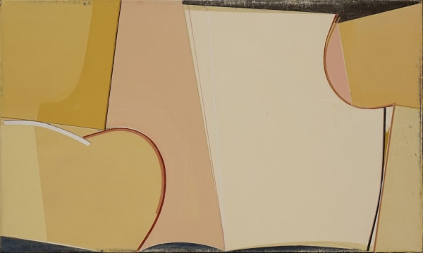 Qian Jiahua 钱佳华 Cheese 奶酪 Acrylic on Canvas,布面丙烯,30x50x10cm 2017