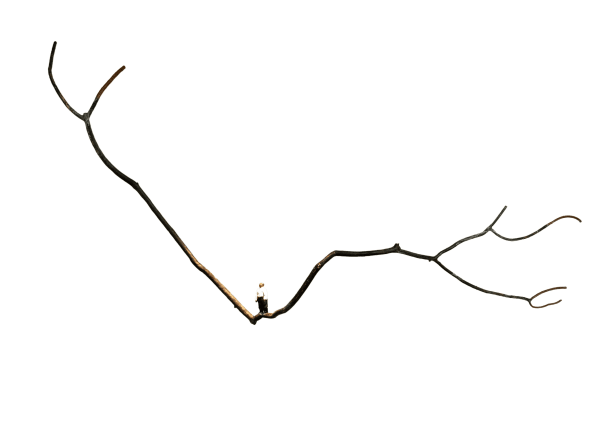 冯力仁, 选择的总和 c, 铜着色 Fung Lik-yan Kevin, Summation of Choices c, Painted Bronze 25 x 80 x 215 cm Edition of 2 2011