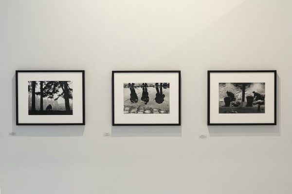 Sabine Weiss Sous Le Soleil De La Vie 2020 21