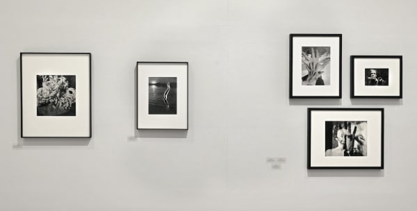 L E Loge De La Main Les Douches La Galerie Paris 2021 17