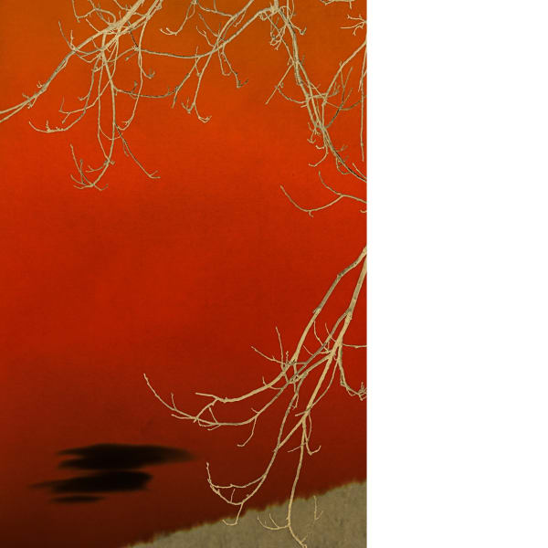Albarrán Cabrera - The Mouth of Krishna SE #60027, 2025