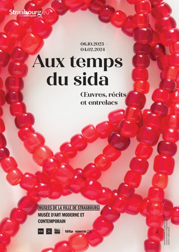 Hervé Guibert | Aux temps du sida. Œuvres, récits et entrelacs