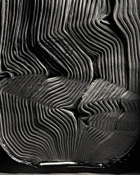 La Beauté Des Lignes
