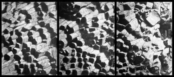 Yaque Jose Columnas De Basalto I 2020 Charcoal On Paper 200 X 450 Cm 3