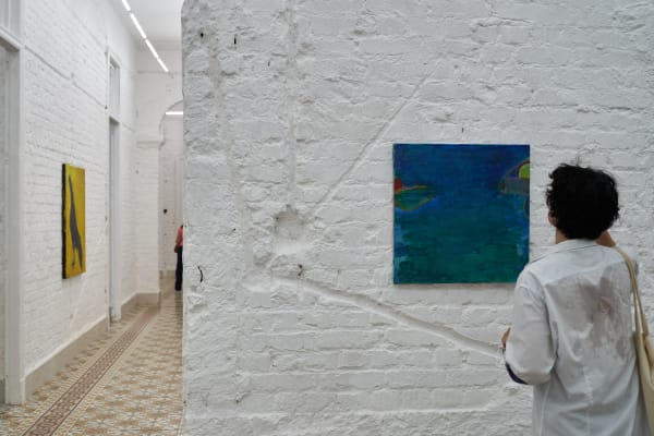 Dsc01433 Should I Be A Tropical Painter Or Should I Not Havana Install High Res