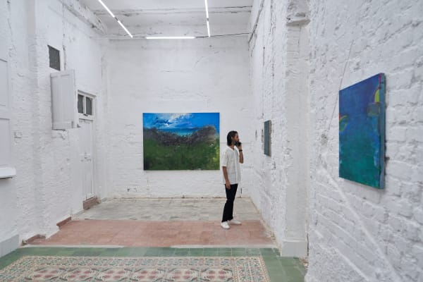 Dsc01673 Should I Be A Tropical Painter Or Should I Not Havana Install High Res