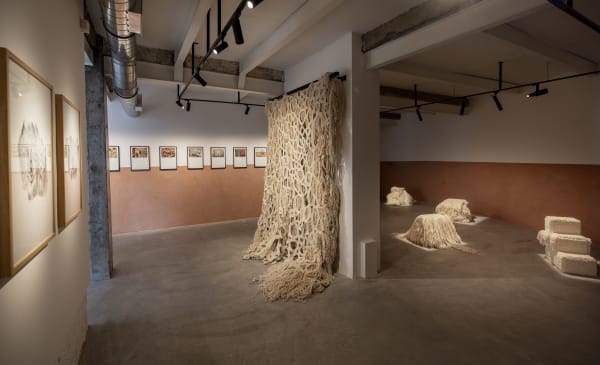 Solo Show I Amina Agueznay I Field Work