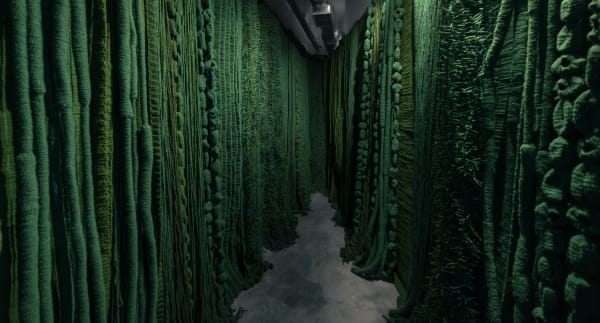 C Ayoubelbardii Loftgallery Prs3