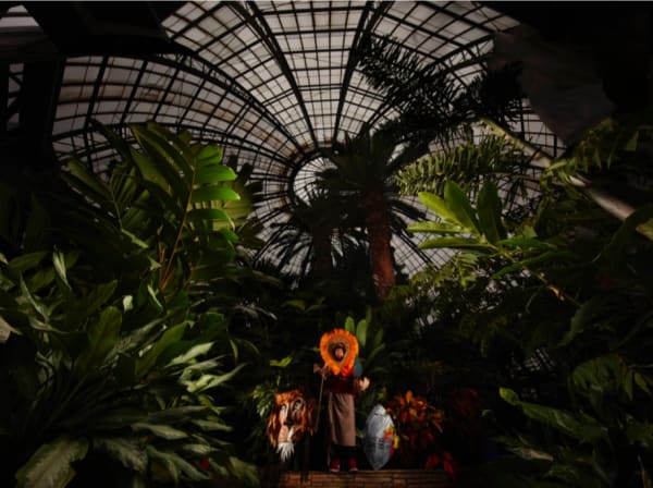 Kitihawa's Chandelier series, 2017