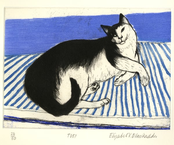 Dame Elizabeth Blackadder RSA RSW RA, Toby, 2003 Aquatint