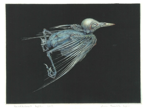 Arne Bendik Sjur, A Starling - Blue on Black Drypoint