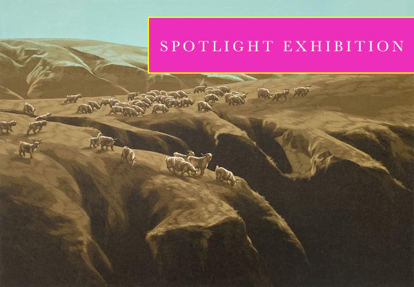 Down to Earth SPOTLIGHT EXHIBITION