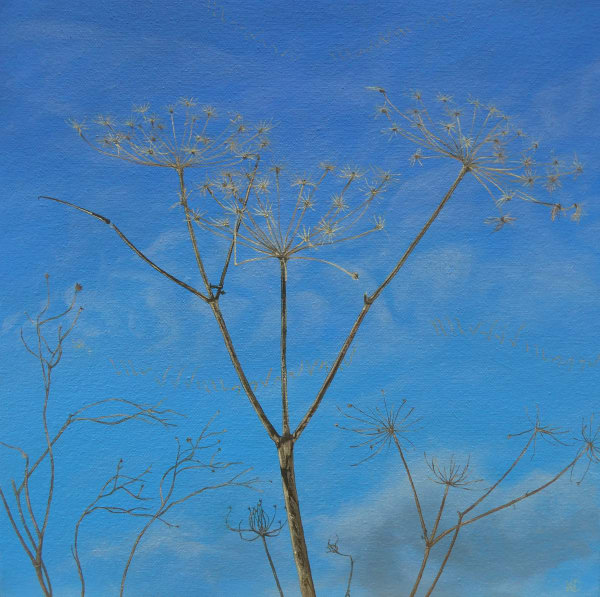 The willow warbler’s song