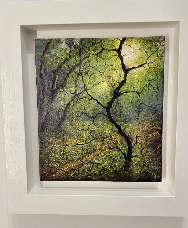 Twisting in the light