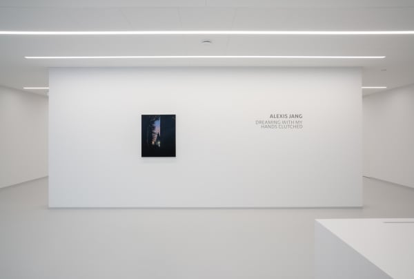 Alexis Jang Dreaming with my Hands Clutched