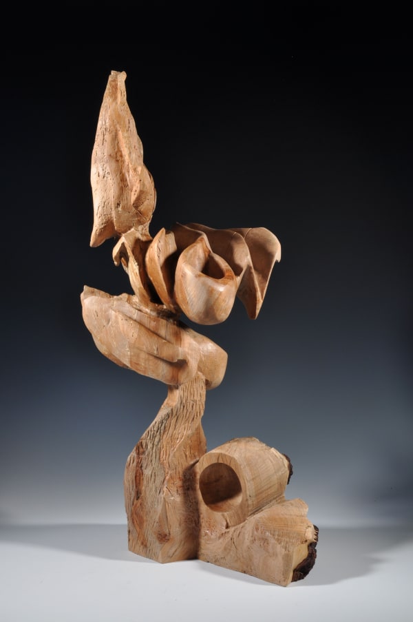 Sandra Sell, Placid Rise, 2018