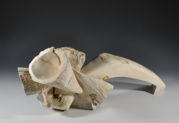 Sandra Sell, Colony Curl II, 2019