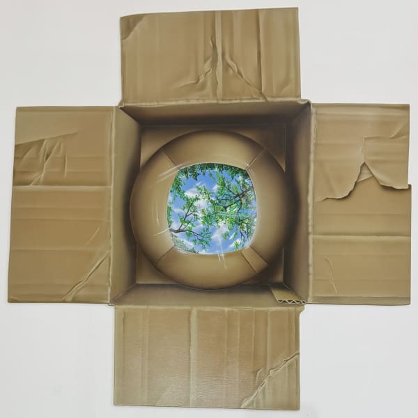 Robin Tucker, Reflection, 2025