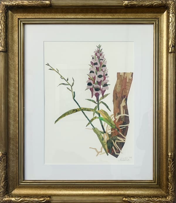 Chase Travaille, Snapdragon, 2024