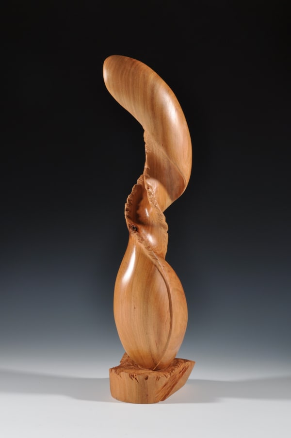 Sandra Sell, Deckle Fringe, 2021