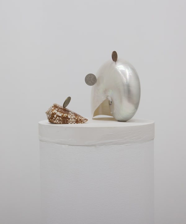 Adrian Abela, Sells/Sea/Shells (Semazen {for coin history}) #5, 2018