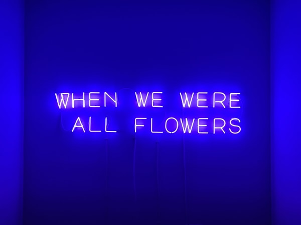 Xin Liu When We Were All Flowers, 2023 glass, argon, mercury, phosphors, metal, wire, transformers 15 in x 70 in