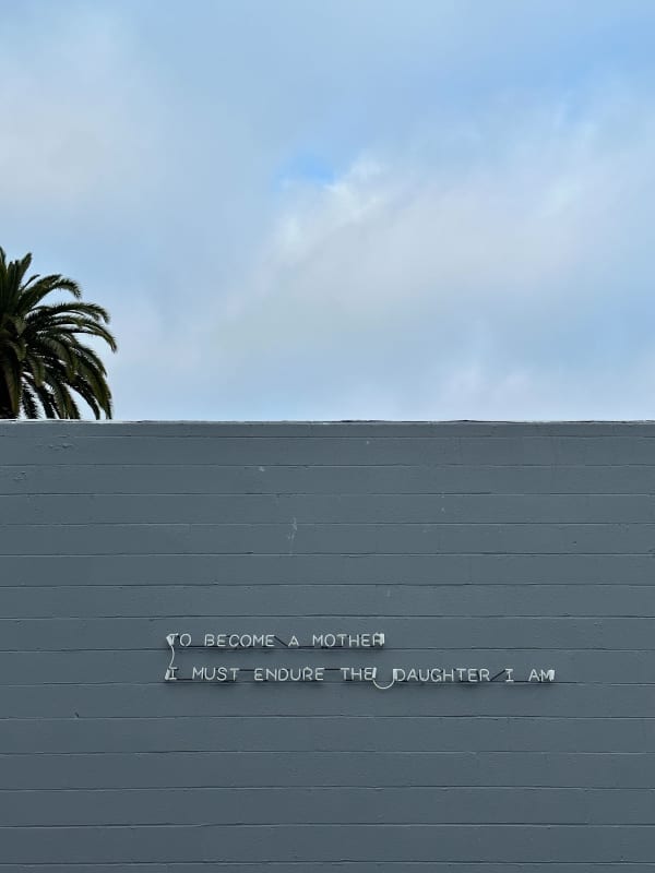 Xin Liu To Become a Mother I Must Endure the Daughter I Am, 2023 glass, argon, mercury, phosphors, metal, wire, transformers 20 x 90 in. 50.8 x 228.6 cm