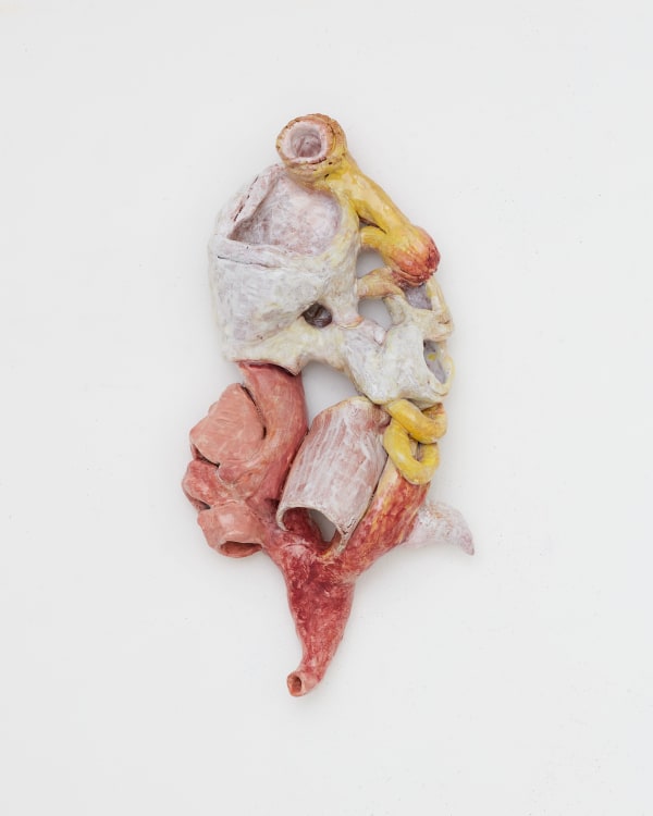 Soumya Netrabile Mushroom Prophet, 2024