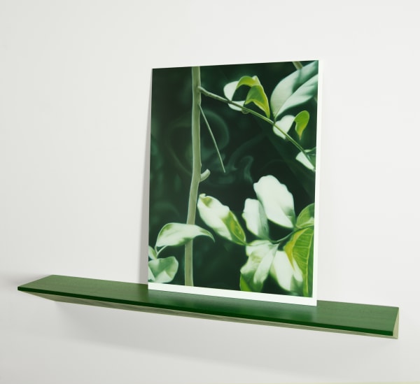 Andrew Sendor Salome’s Mosaic of Hope, 2024 Oil on matte white Plexiglas, Mahogany shelf Painting dimensions: 15 x 11 1/2 inches Shelf dimensions: 25 x 4 x 2 inches AS.24.06