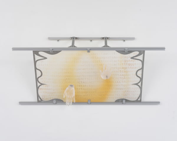 Xin Liu, An attempt to touch you, 2023