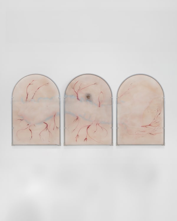 Xin Liu, Theatre of Metamorphosis, 2024