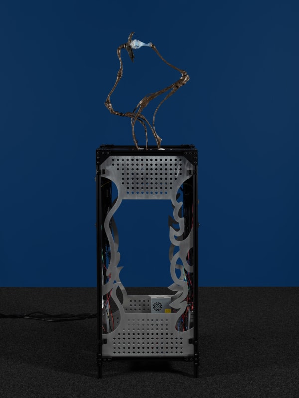 Xin Liu, The Receiver, 2023