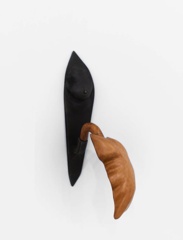 Shana Hoehn, Breast Bracket #7 with Pronounced Midrib, 2023