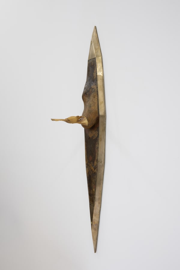 Shana Hoehn, Feeding Hummingbird, 2023