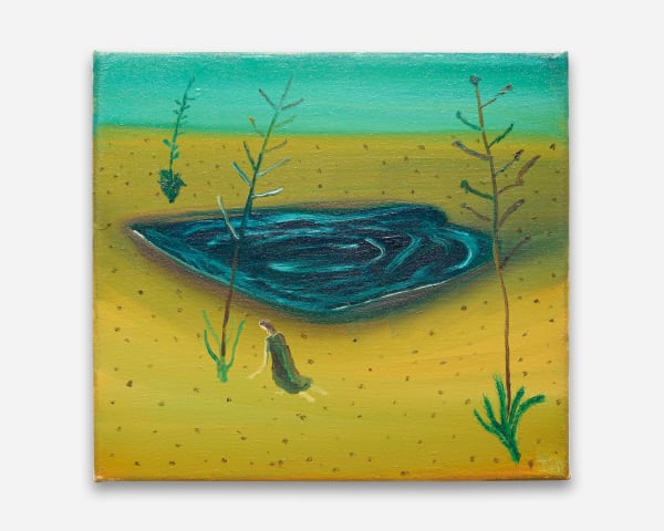 Ish Lipman, A Fleeting Oasis, 2023