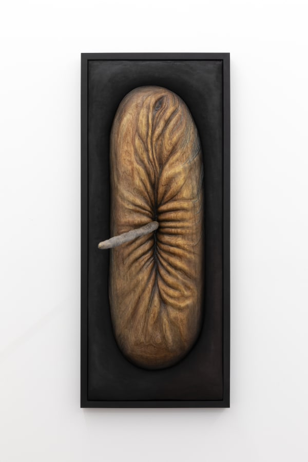 Shana Hoehn, Untitled (Hole), 2023