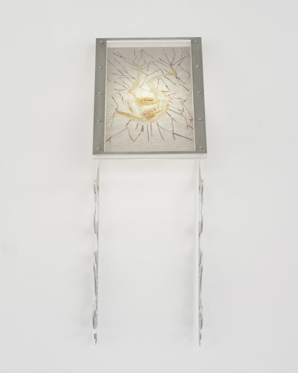 Xin Liu, Fortune Tellers: The Spider's Trap, 2023