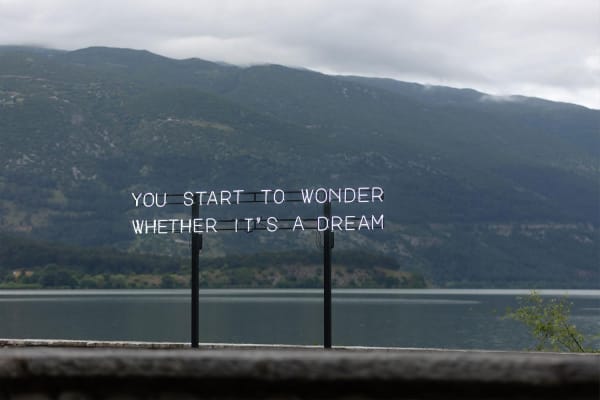 Xin Liu, You Start To Wonder Whether It Is A Dream , 2023
