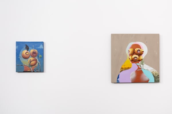 Miguel Angel Payano Jr.