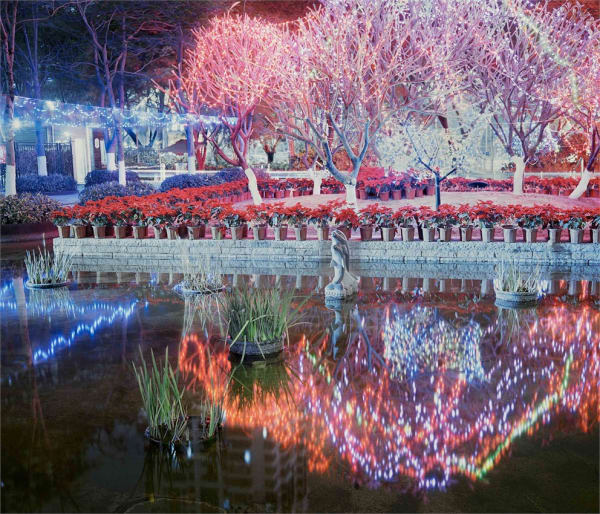 彭可