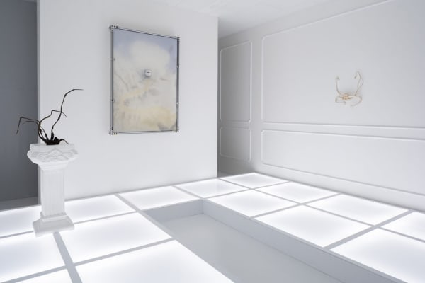 Xin Liu by Danni Shen