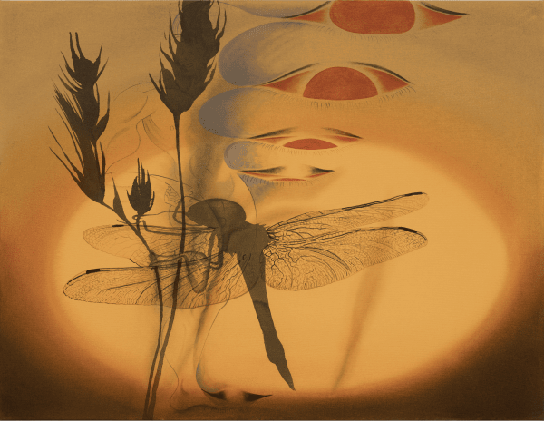 Dallas Art Fair 2025 Fashion Industry Gallery