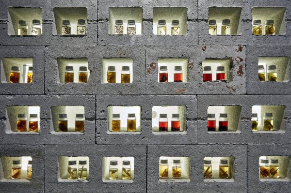 Gastrogeography Of Singapore By Mamakan Installation View 5