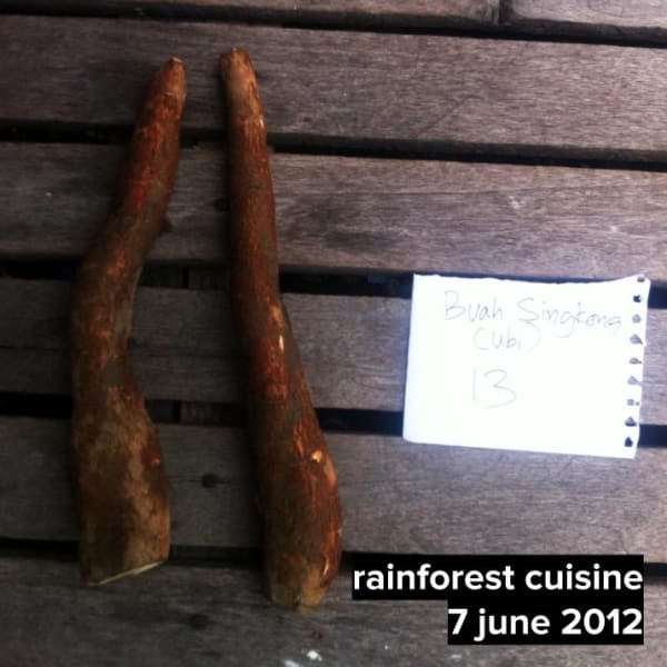 Buah Sing Kong This root was used in Steamed Buah Sing Kong root with Pigeon confit "Tartine" and Crispy Cassave Ubi Soil.